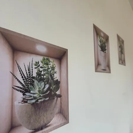 Apartament Xxx Cerea